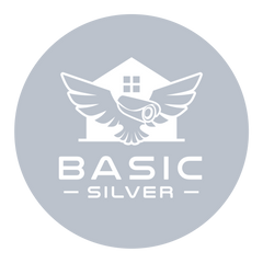 Basic Silver